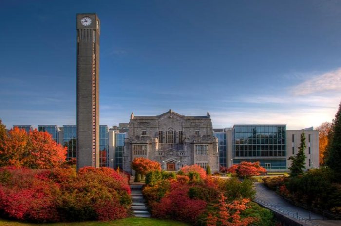 英屬哥倫比亞大學科系 英屬哥倫比亞大學科系