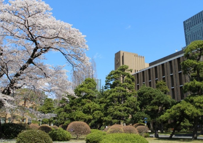 日本 東北 大學 日本 東北 大學