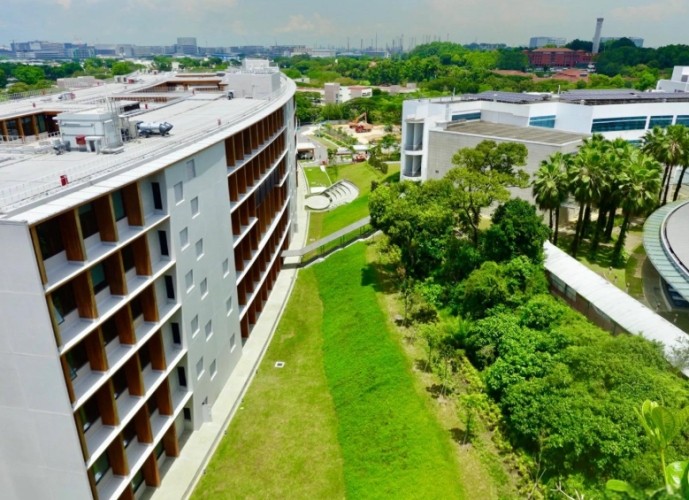 南洋理工大學排名 南洋理工大學排名