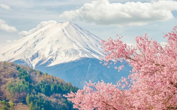 日本 移民 條件 日本 移民 條件