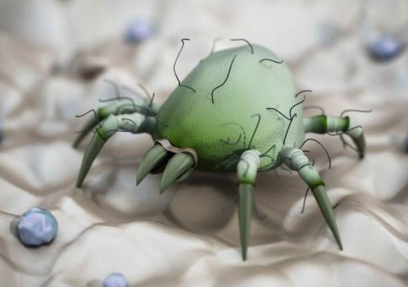 疥癬蟲症狀 疥癬蟲症狀