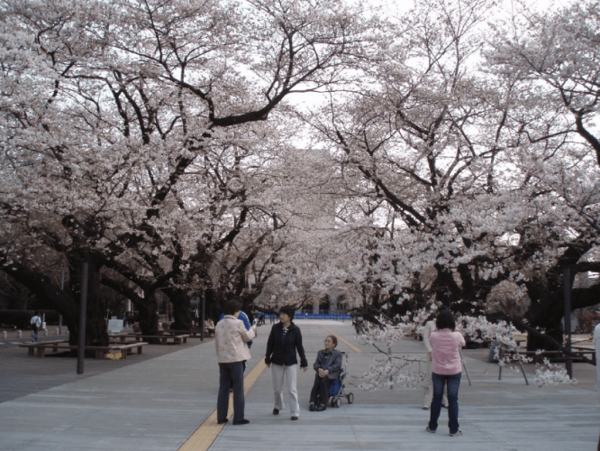 東京工業大學學費 東京工業大學學費