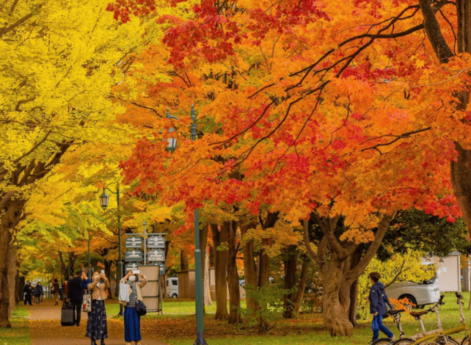 北海道大學 北海道大學