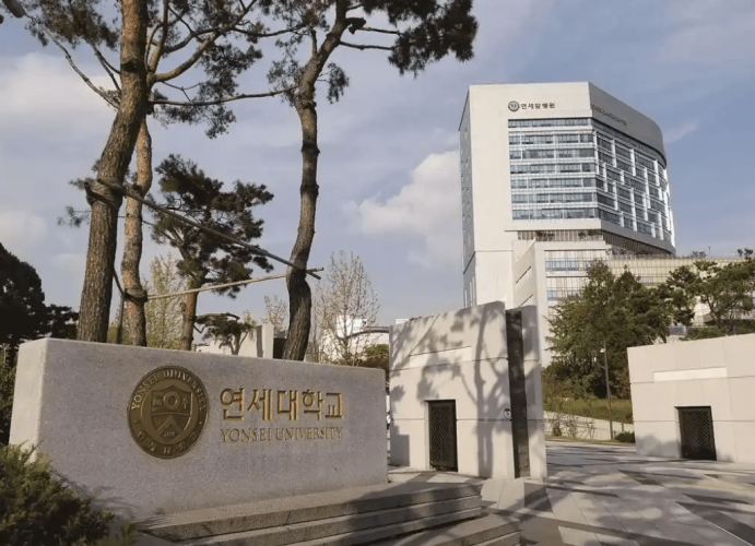 延世大學排名