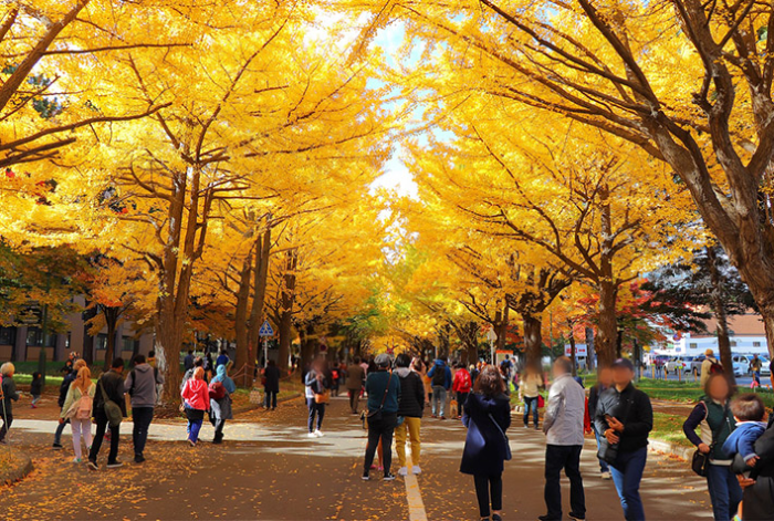 北海道大學 北海道大學