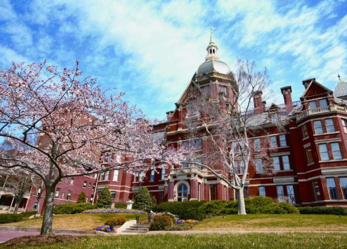 約翰霍普金斯大學科系 約翰霍普金斯大學科系