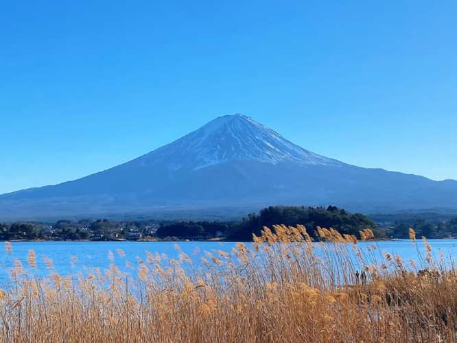 日本移民 日本移民